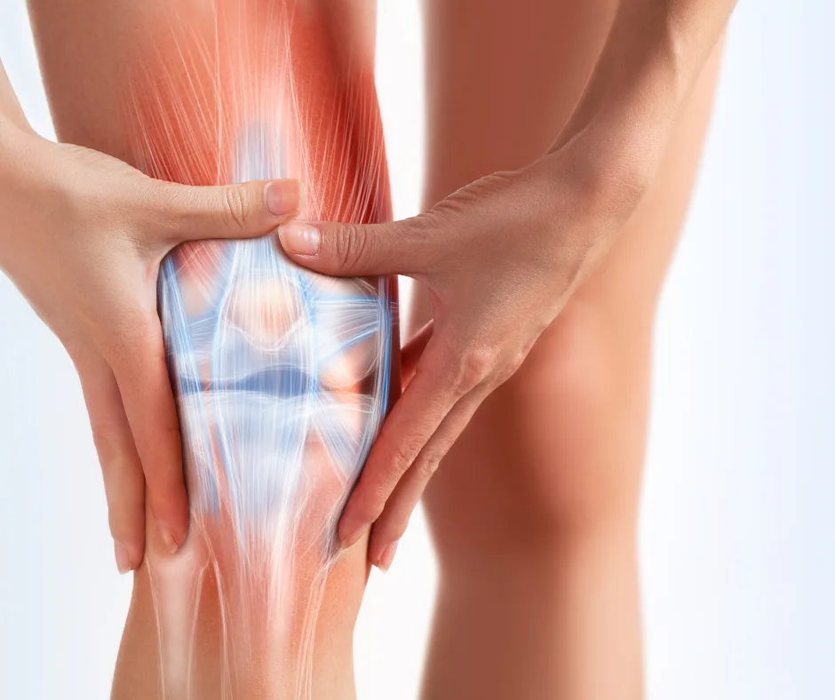 Trattamento del ginocchio con evidenza delle strutture dell'articolazione