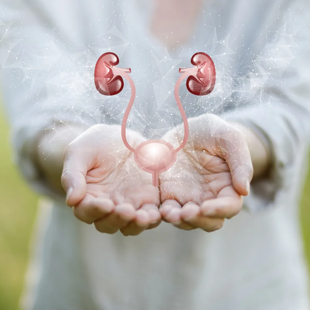 Riabilitazione del pavimento pelvico presso Fisioe